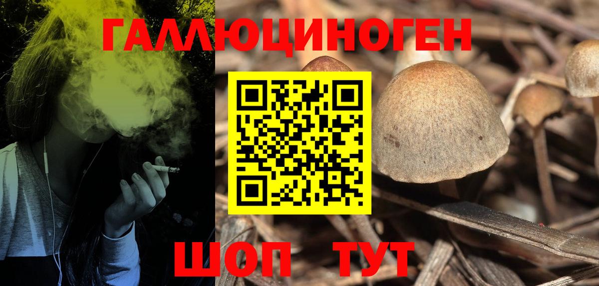 закладка  Галлюциногенные грибы MAGIC MUSHROOMS  Галлюциногенные грибы прущие грибы  Вход с VPN  Заволжье 